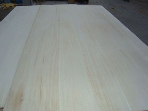 paulownia timber