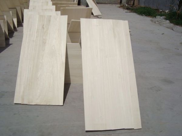 paulownia timber