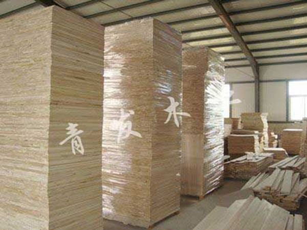 paulownia timber