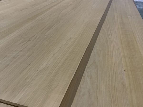 Carbonized poplar board