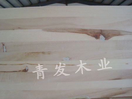 Click to view actual size<br>Titlepoplar board Reads6566